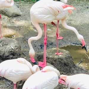 Meet your Posher, Peggy